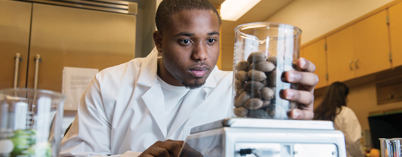 Student analyzing a food sample