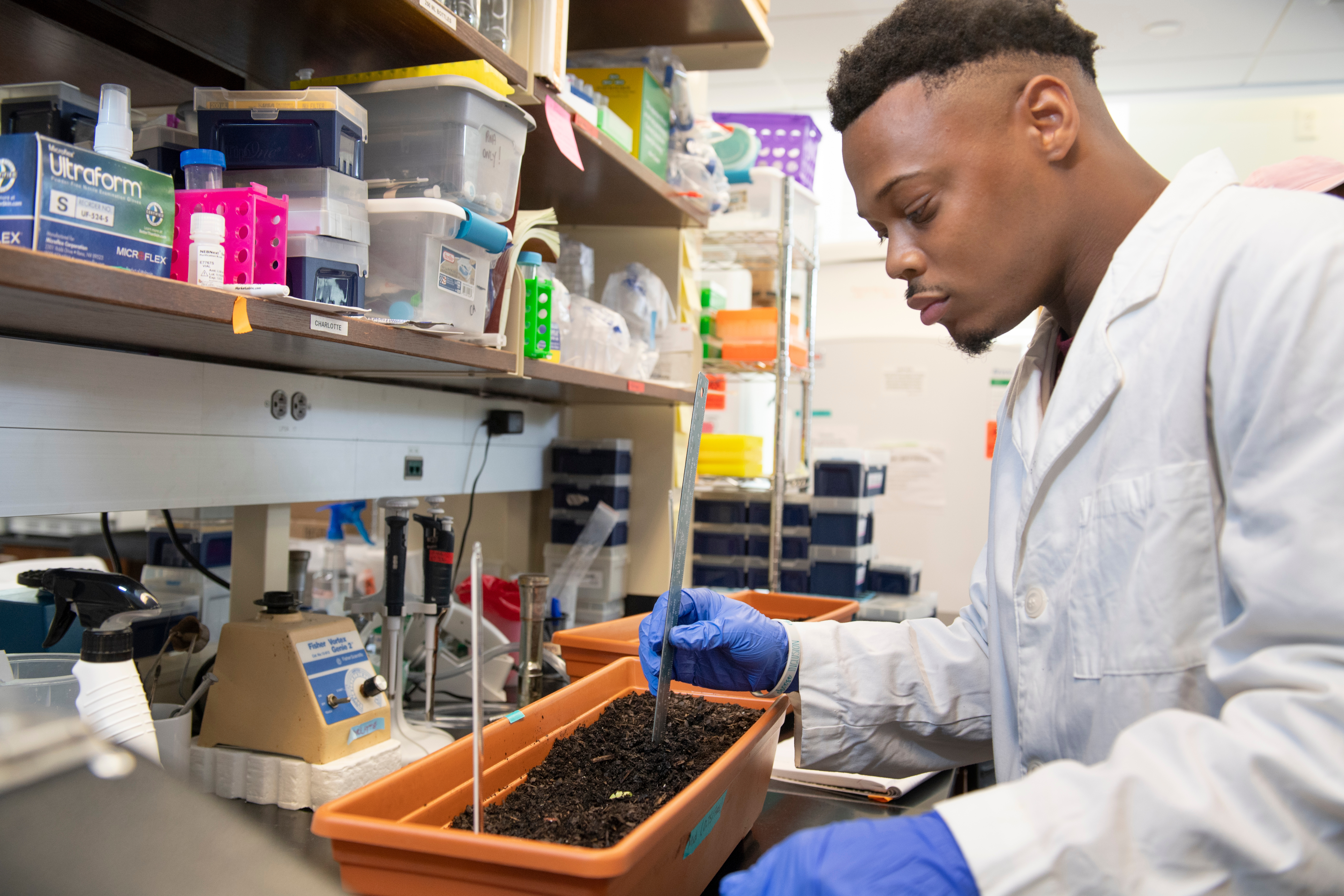 Student conducting laboratory research