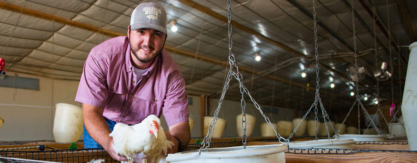 Student holding a chicken in a poultry house
