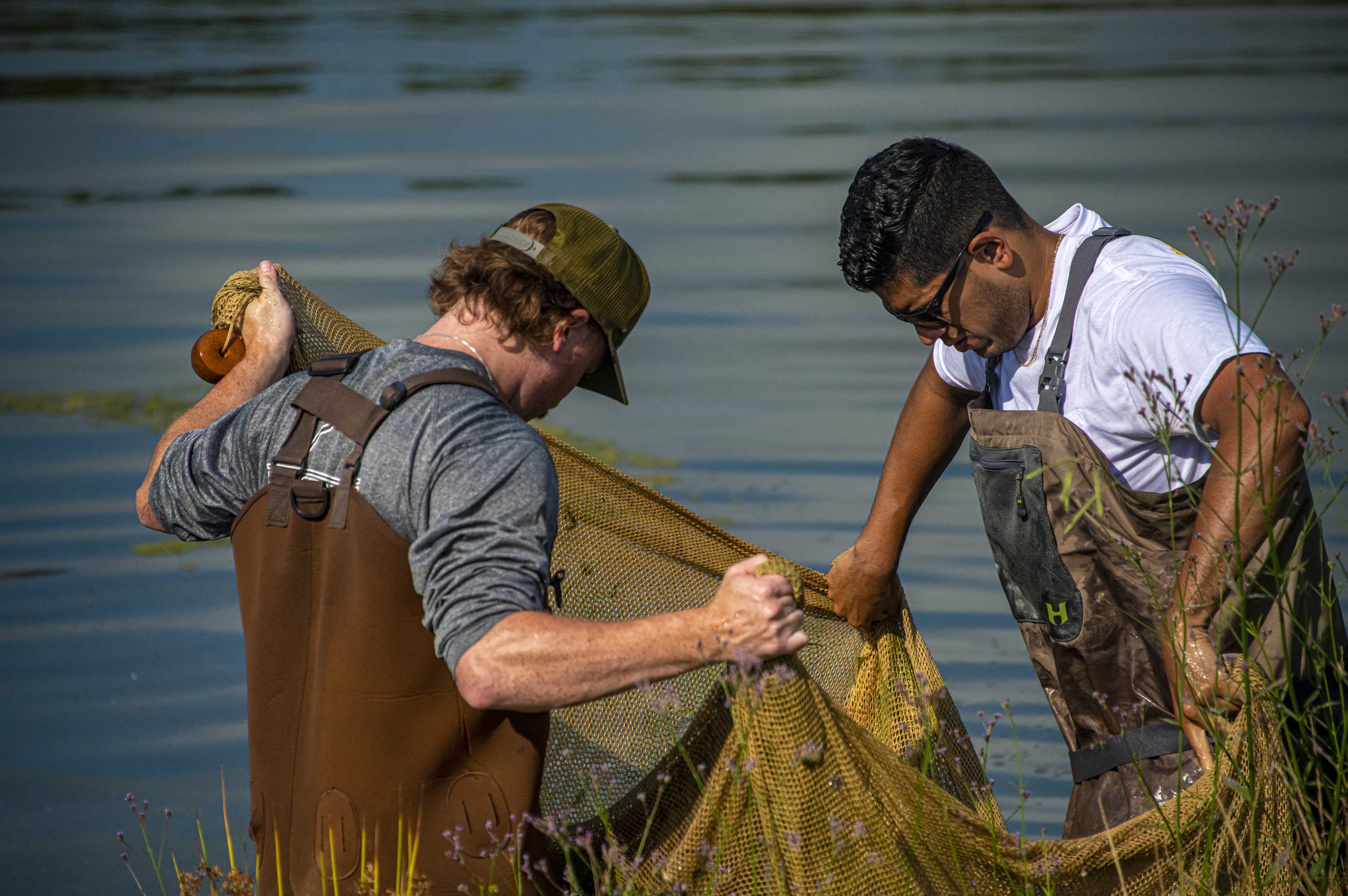 Students collecting aquatic samples